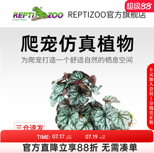 瑞皮Reptizoo爬宠箱造景植物