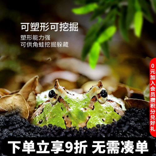 reptizoo角蛙泥底材黄金造景用品