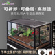 Reptizoo瑞皮爬虫宠守宫饲养箱玻璃生态雨林缸乌龟鬃狮蜥蛇寄居蟹