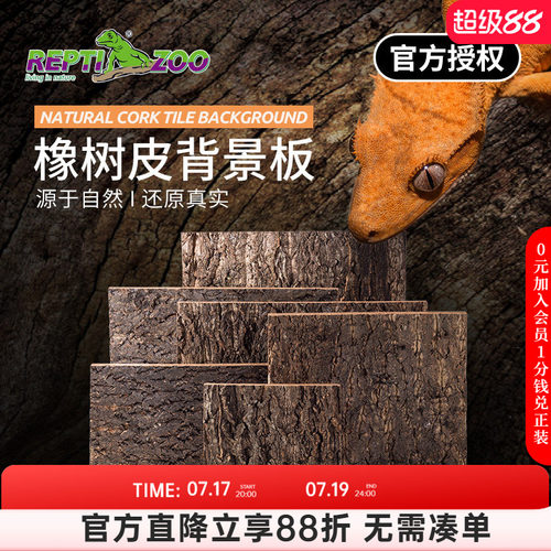 瑞皮reptizoo爬宠背景乌龟饲养