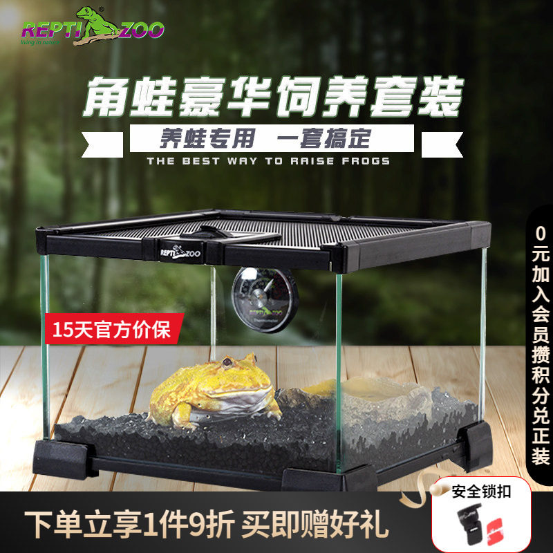 REPTIZOO瑞皮角蛙饲养箱造景图片