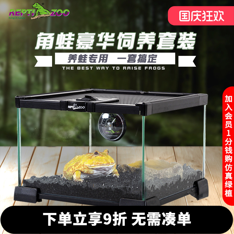 reptizoo角蛙饲养箱造景
