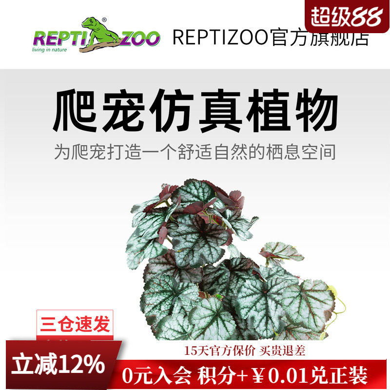 REPTIZOO瑞皮爬宠箱造景植物图片