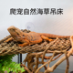 瑞皮Reptizoo爬宠吊床蜥蜴守宫变色龙造景爬宠躲避挂式 攀爬秋千窝