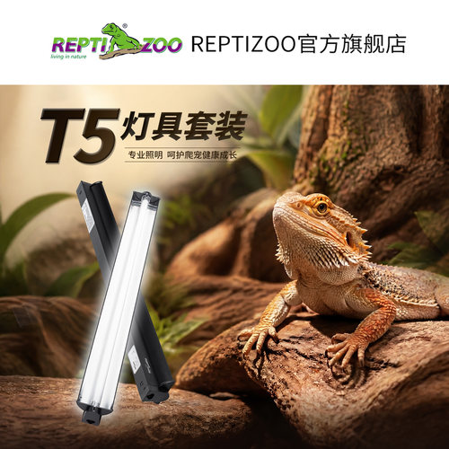Reptizoo瑞皮爬宠沙漠uvb灯套餐