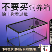 Reptizoo瑞皮爬宠角蛙饲养箱蜥蜴蜘蛛乌龟守宫爬虫玻璃缸雨林缸蛇