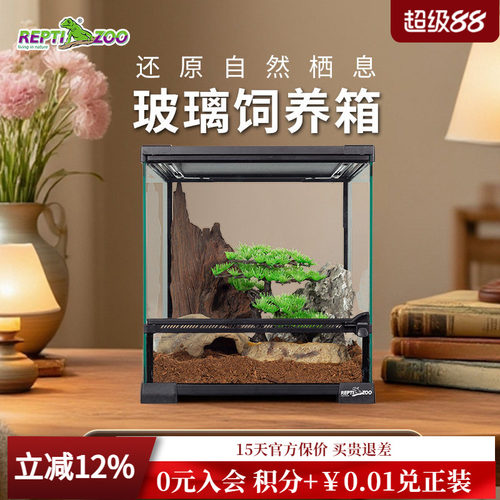 REPTIZOO瑞皮蜥蜴饲养鬃狮变色龙