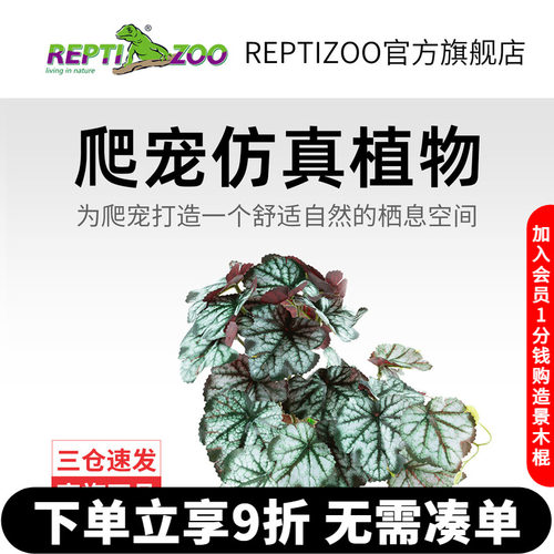 瑞皮Reptizoo爬宠箱造景植物