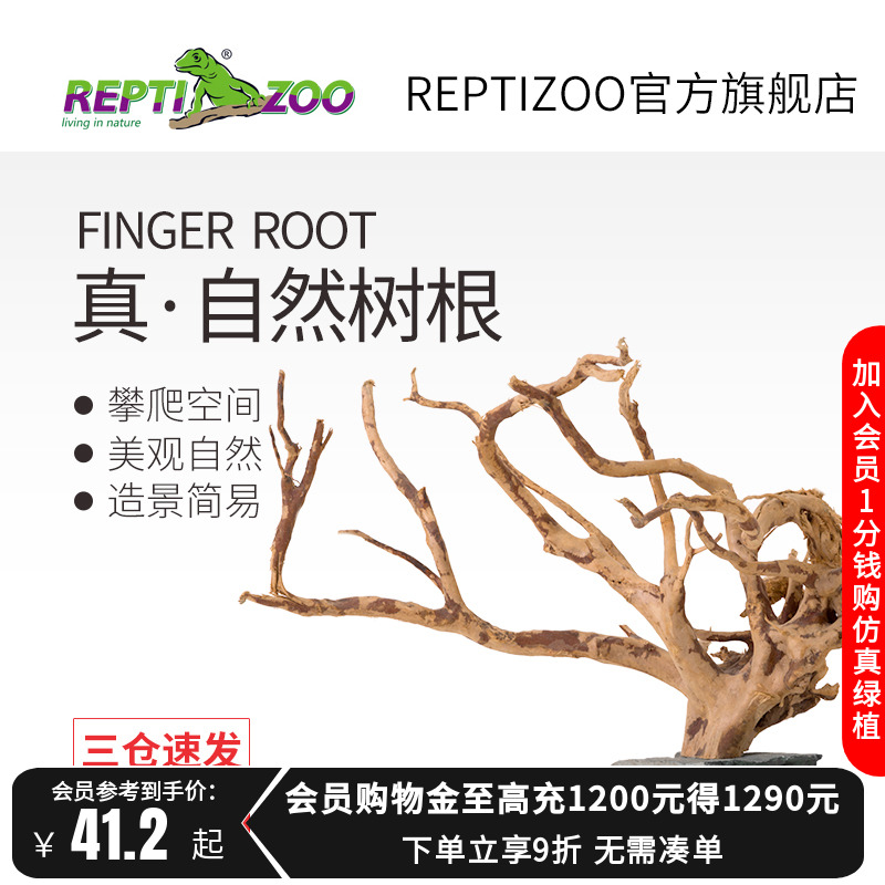 天然杜鹃根爬宠造景摆件