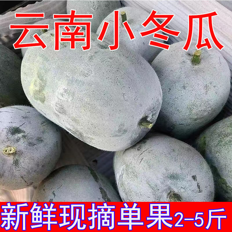 云南本地高山小冬瓜迷你新鲜香冬瓜粉冬瓜应季蔬菜现摘现发老冬瓜,水产肉类/新鲜蔬果/熟食,其它,淘宝优惠券,粉丝福利购,淘宝优惠卷