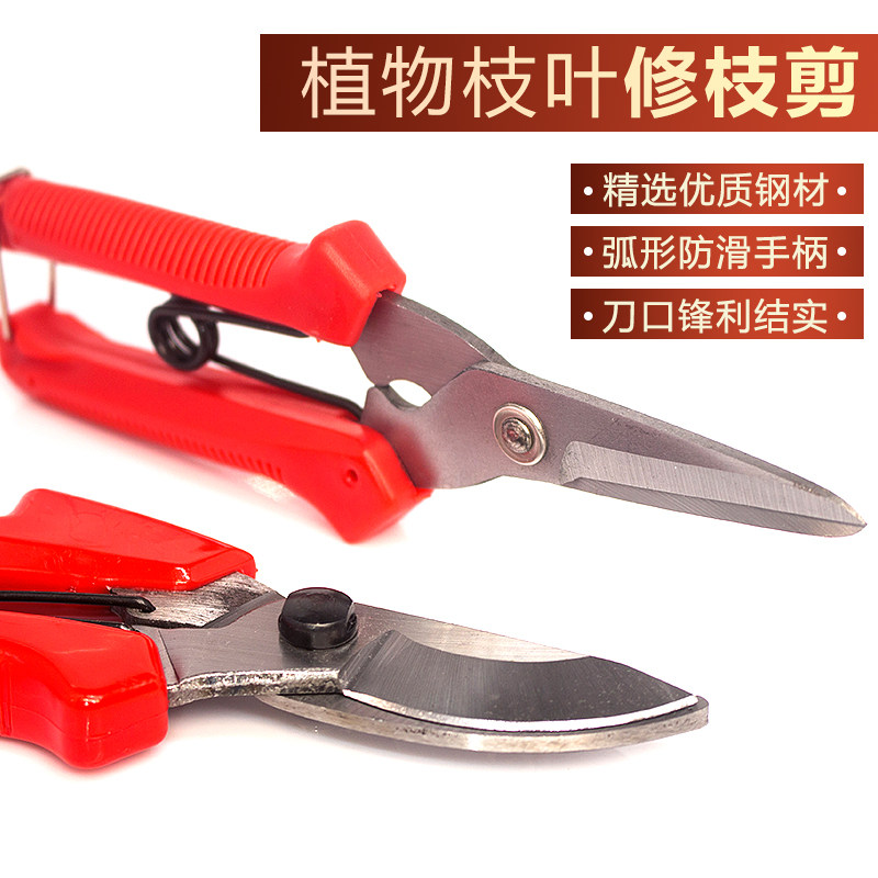 园艺工具剪刀果树修枝剪修花剪修树枝条园艺手剪家用修花草木剪刀