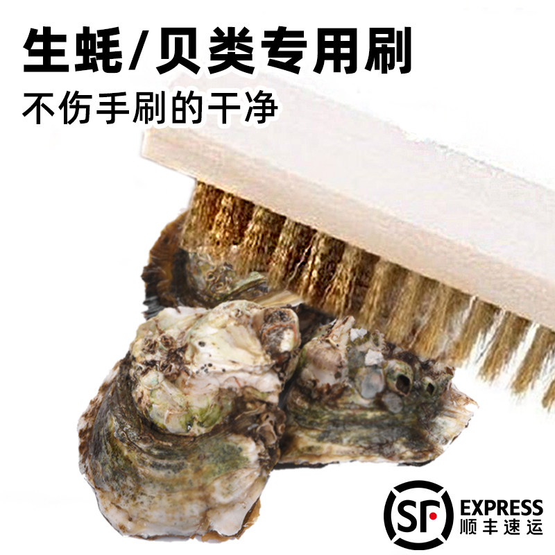 洗生蚝的刷子鲍鱼扇贝贝壳螃蟹钢丝刷清洗刷海鲜不锈钢丝厨房清洁,家庭/个人清洁工具,厨房用刷,淘宝优惠券,粉丝福利购,淘宝优惠卷