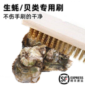 洗生蚝 刷子鲍鱼扇贝贝壳螃蟹钢丝刷清洗刷海鲜不锈钢丝厨房清洁