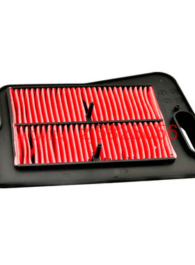 适用AN250 AN400 天浪Burgman Skywave摩托车空气滤清器 空气格芯