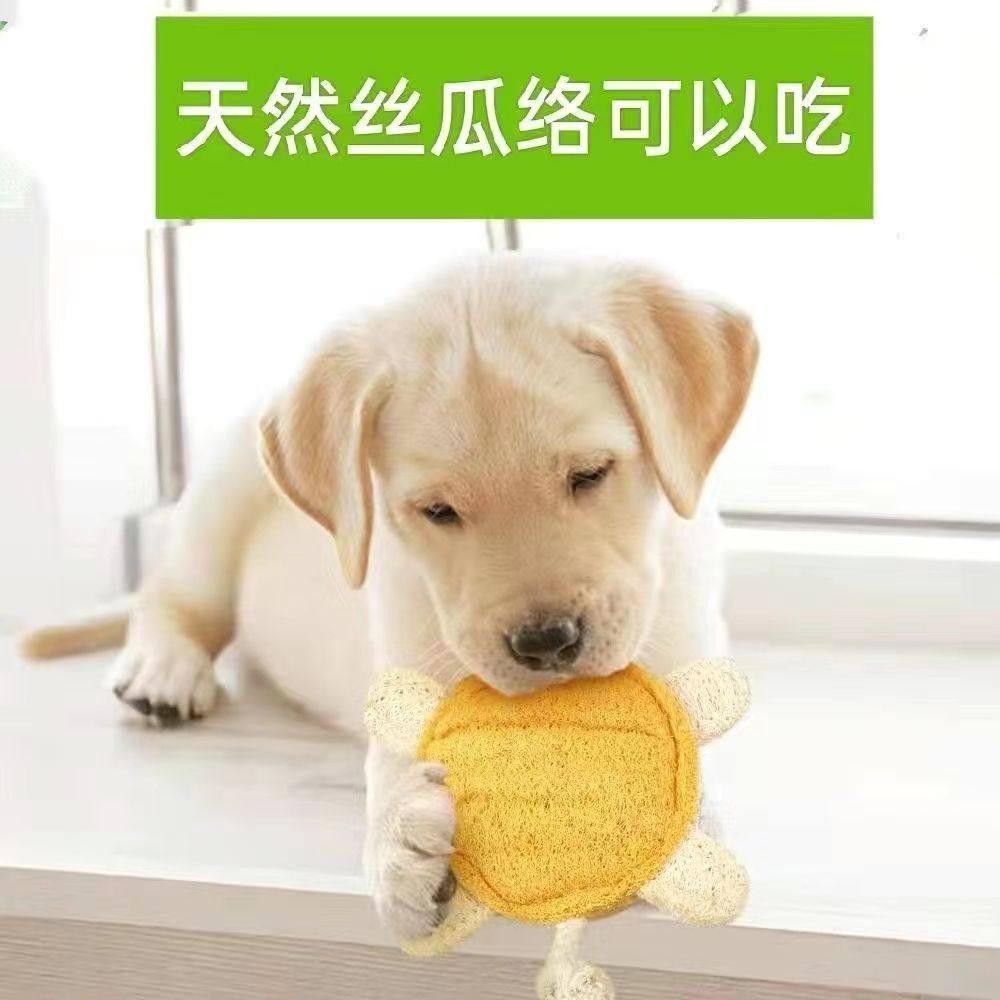 天天宠乌龟型丝瓜络宠物玩具洁齿磨牙狗狗玩具宠物犬,宠物/宠物食品及用品,玩具/造景装饰,淘宝优惠券,粉丝福利购,淘宝优惠卷