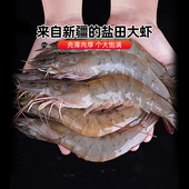新疆盐田大虾本地养殖南美白对虾青虾水产海鲜年货 新疆特产