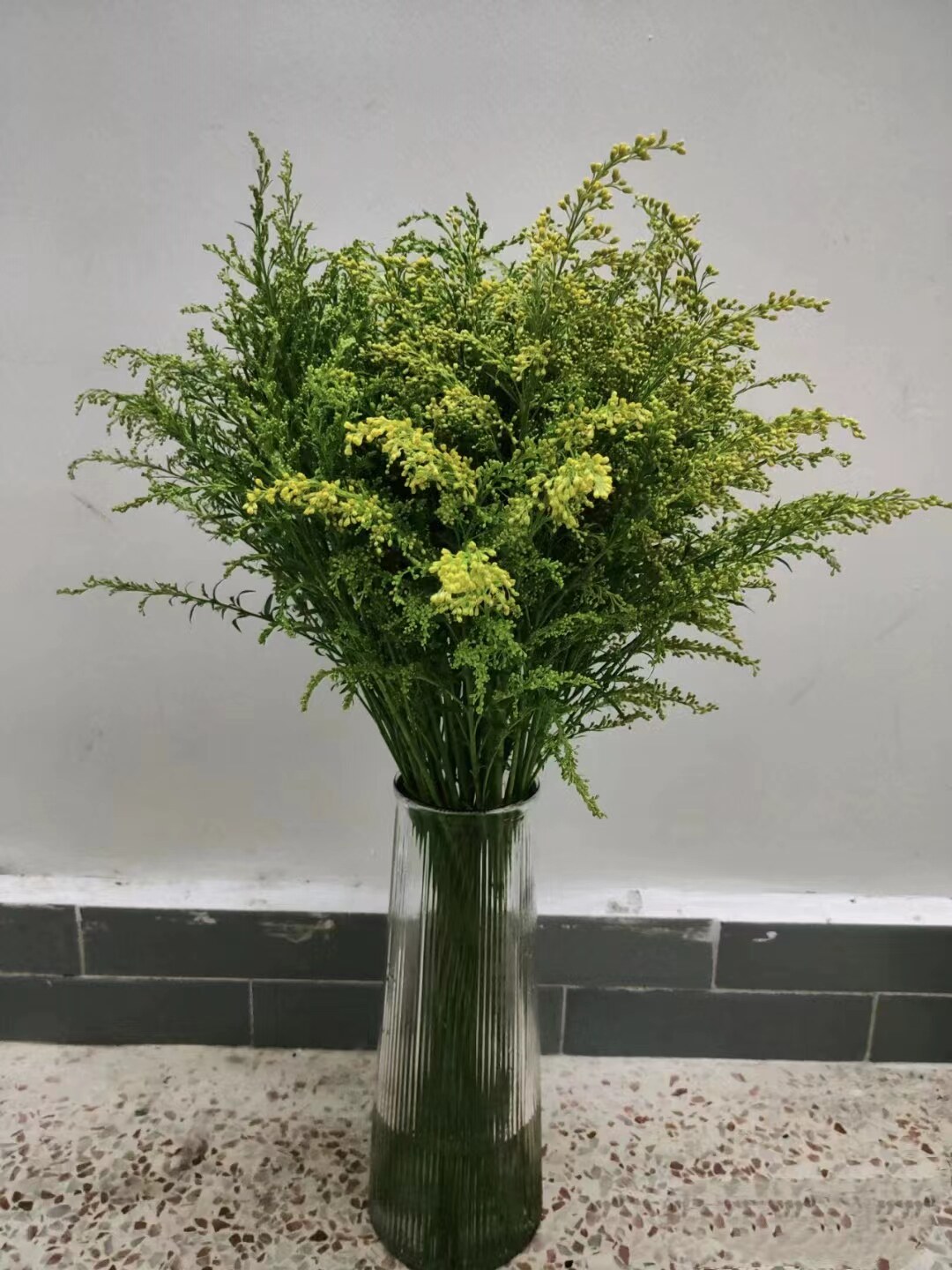 黄莺花鲜花云南直发花材配草办公插花花束配花好养