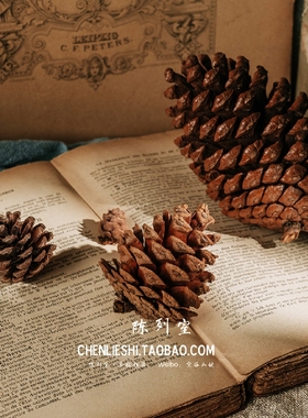 松球拍照摄影背景小清新风道具