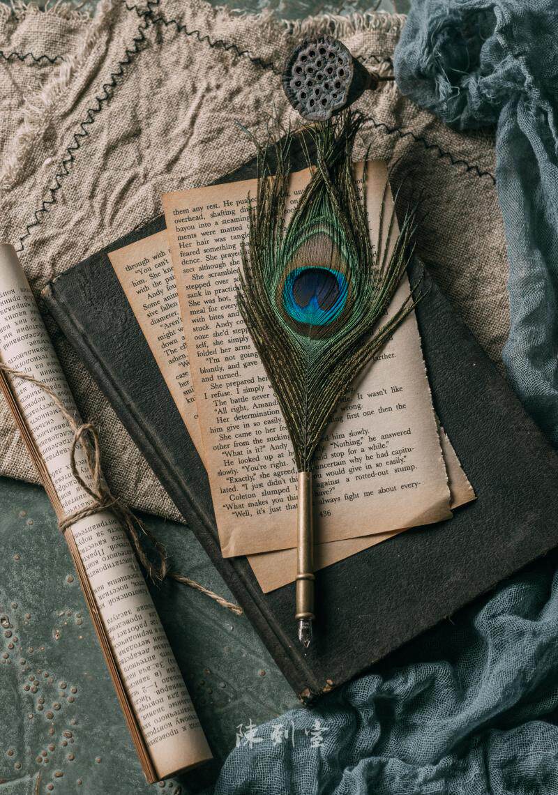 欧式复古英伦羽毛笔蘸水笔钢笔孔雀哈利波特学生用礼盒鸡毛笔