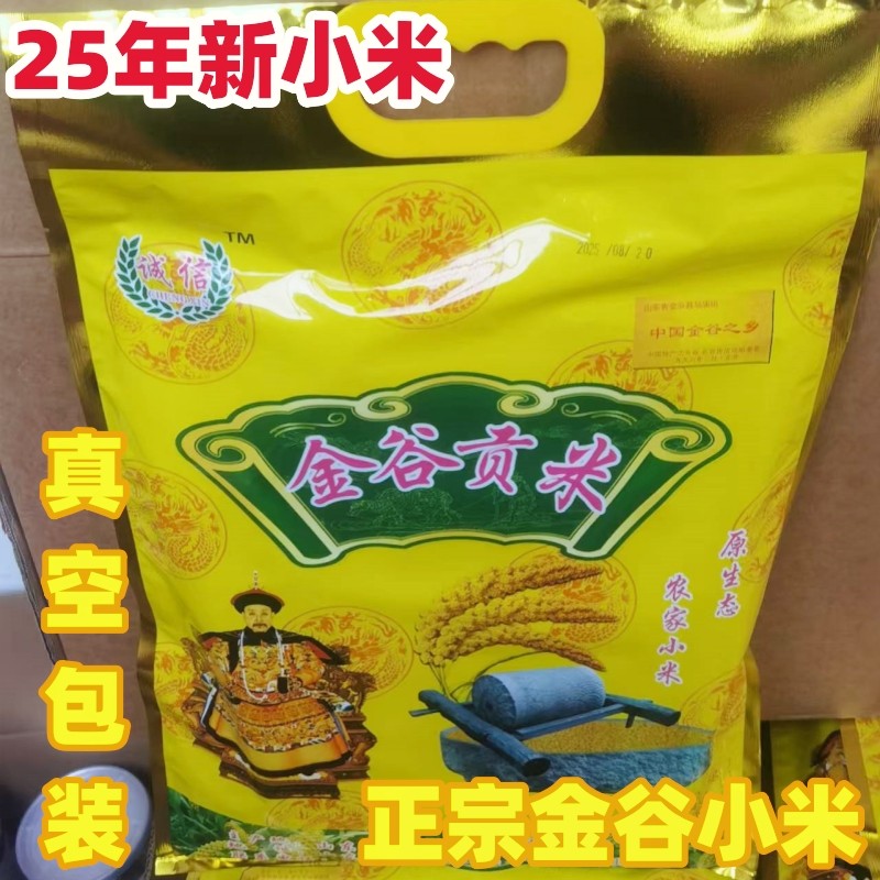 正宗金乡马庙马坡金谷小米2025年新黄小米山东济宁月子小黄米5斤