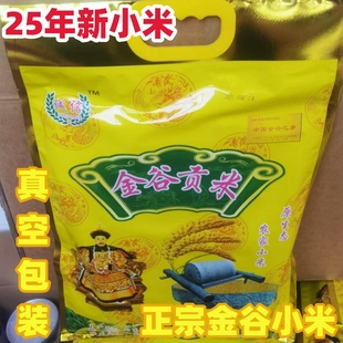 正宗金乡马庙马坡金谷小米2025年新黄小米山东济宁月子小黄米5斤