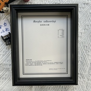 蝴蝶标本相框中空2厘米8寸10寸中文科普款摆台长方形画框大蓝闪蝶