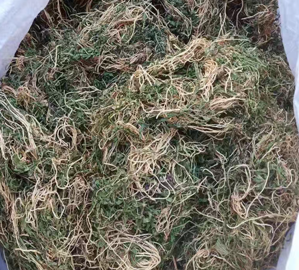 梅州山区半边莲中草药 半边连 细米草半边花新干货中药材500g包邮