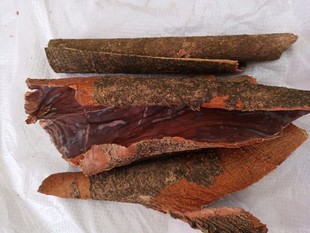 梅州山区纯野生杨梅树皮正宗干品泡酒无硫中草药材老树皮500g包邮