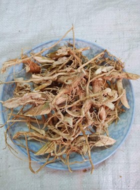野生菜野/假苋菜500克包邮刺苋