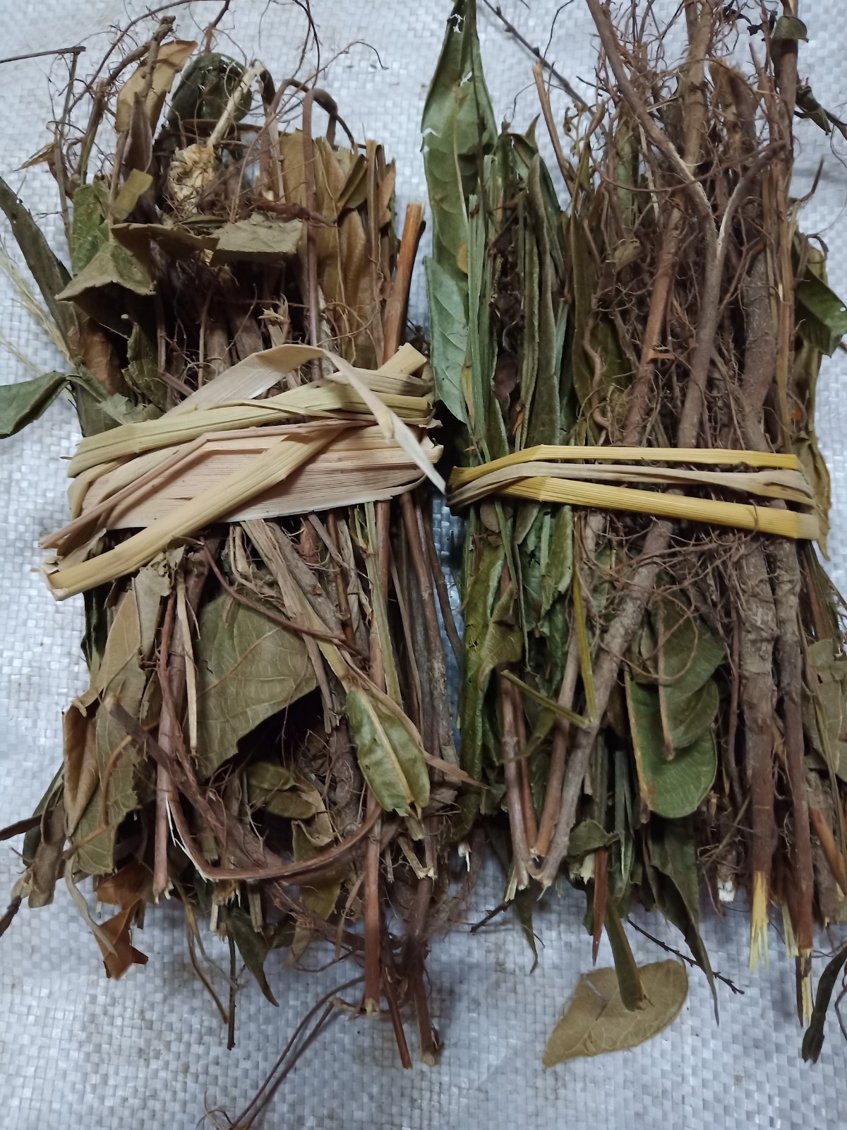 梅州山区野生葫芦茶 中草药材 田刀柄 咸鱼草 狗舌犁500g包邮