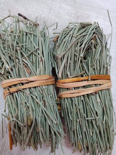 新货野生中药材 骨节草 接骨草 笔杆草 笔筒草 节节草500克包邮 - 封面