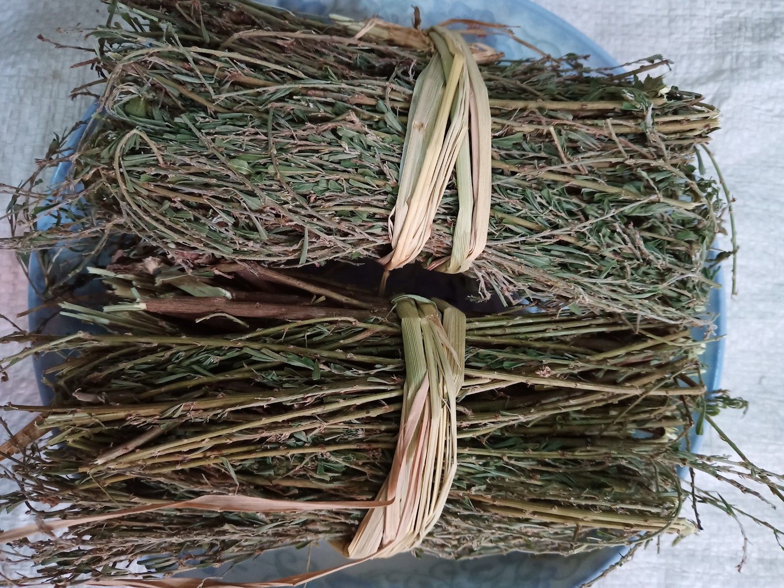 生和堂草药铁扫帚、夜关门、铁马鞭500克包邮