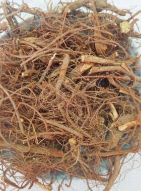 梅州山区中草药材 葫芦茶根 田刀柄根 葫芦树根 狗舌犁根500g包邮