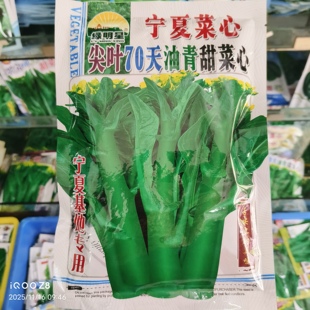 400克亚明绿明星宁夏菜心尖叶70天油青甜菜心种子中迟熟42天采收