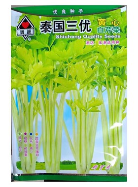 实诚泰国三优白骨黄心黄芹种子