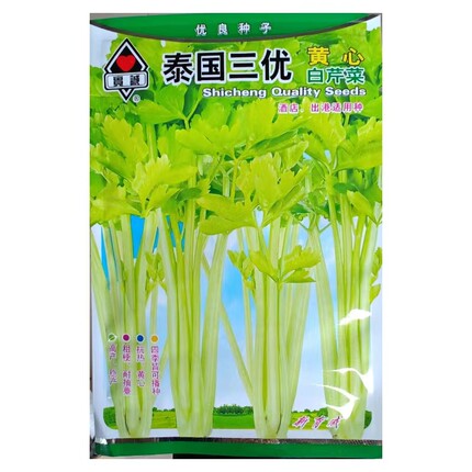 实诚泰国三优白骨黄心芹菜种子耐热嫩黄芹种子白芹种子空心芹菜种