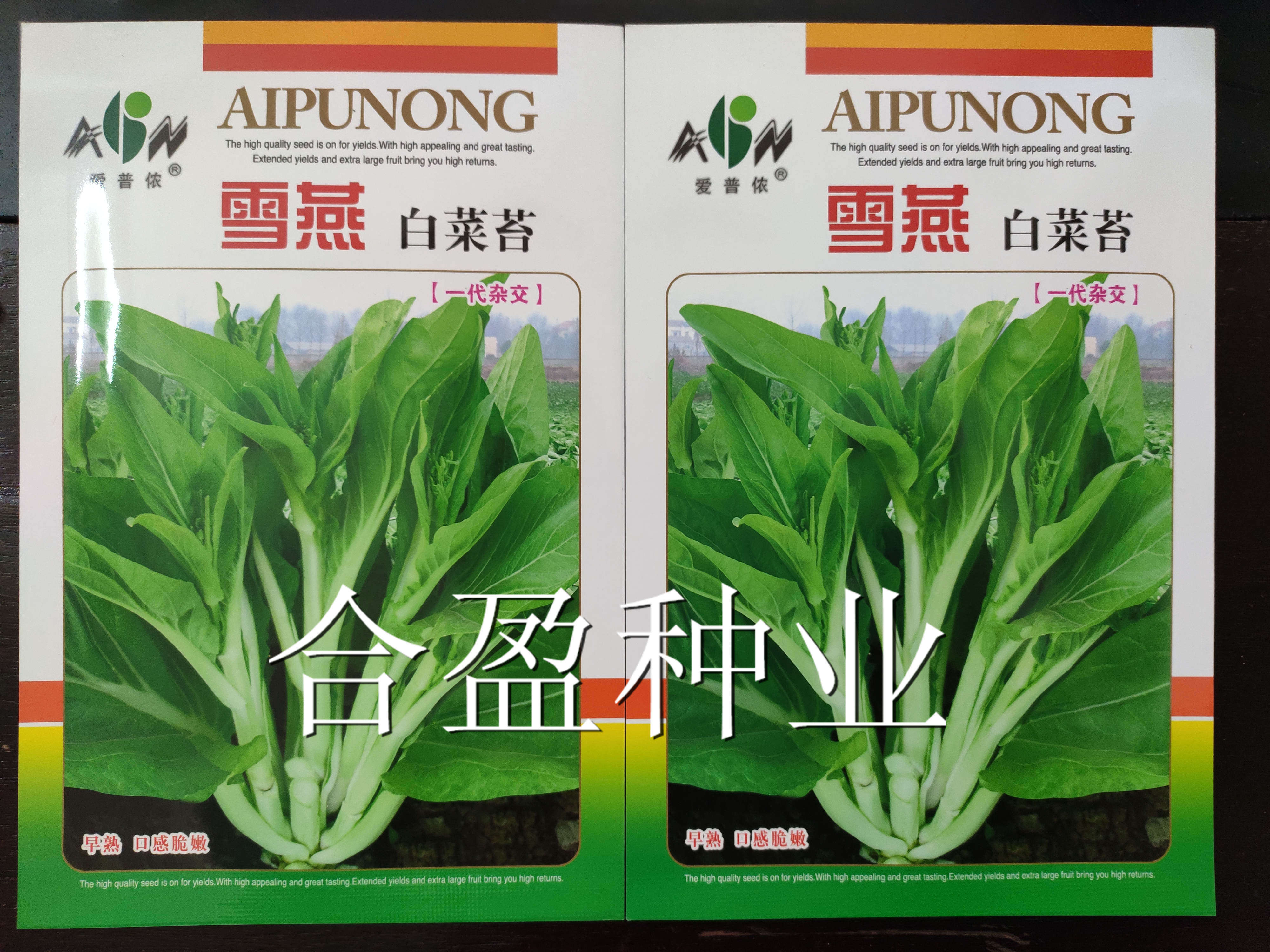 10g爱普农雪燕杂交早熟耐热白菜苔种子高产效益好百财抬种子