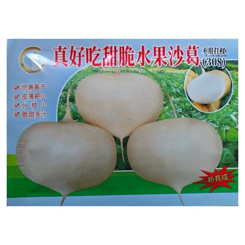 地瓜种子水果沙葛凉薯凉茹种子好吃甜脆高产