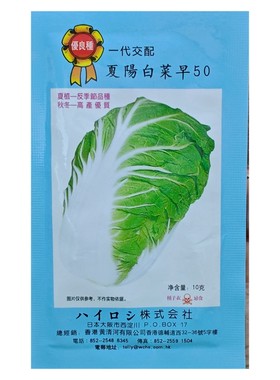 10克香港黄清河正宗夏阳白菜早50杂交夏阳白菜种子耐热抗病毒经典