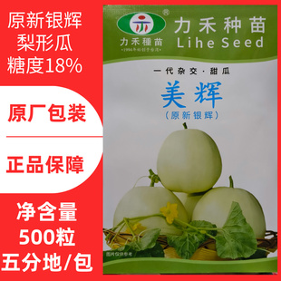 5克力禾美辉甜瓜种子原新银辉白皮白绿肉甜度高香味浓香香瓜种子