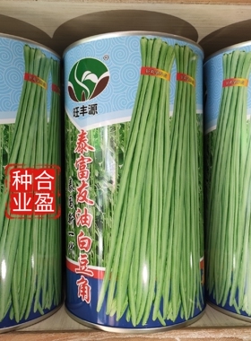 包邮500克泰系泰富友白籽油白豆角种子白籽油白豇豆种子优于白龙