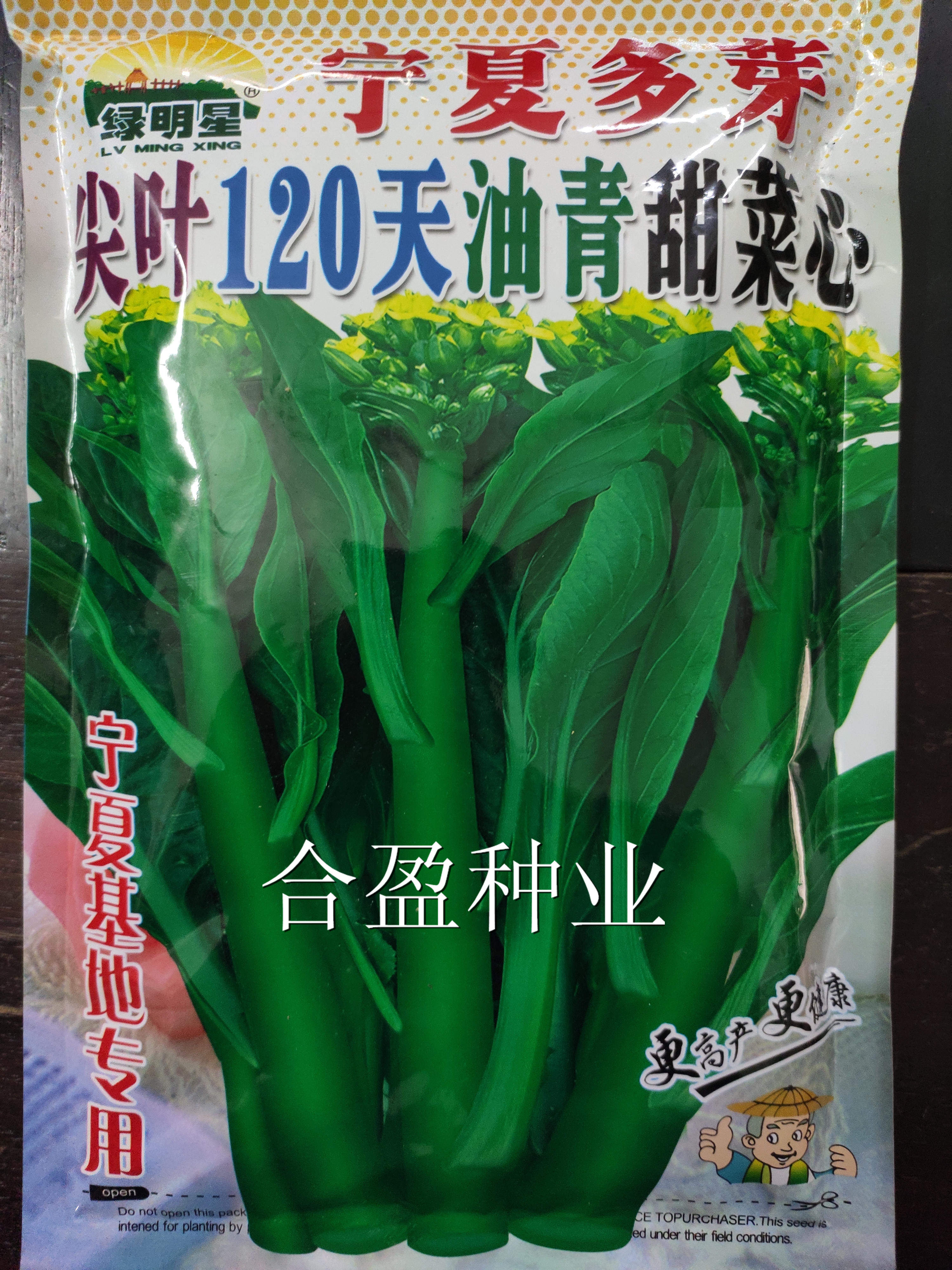 耐寒400克绿明星宁夏菜心尖叶120天油青甜菜心种子宁夏基地用种