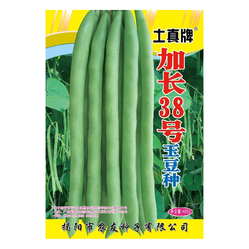 400克土真牌加长38号玉豆种子黑籽芸豆早熟高产四季豆种子
