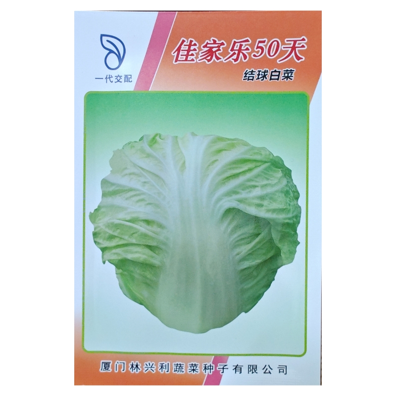 2000粒一包佳家乐50天结球白菜种子特好吃圆形大白菜口感好