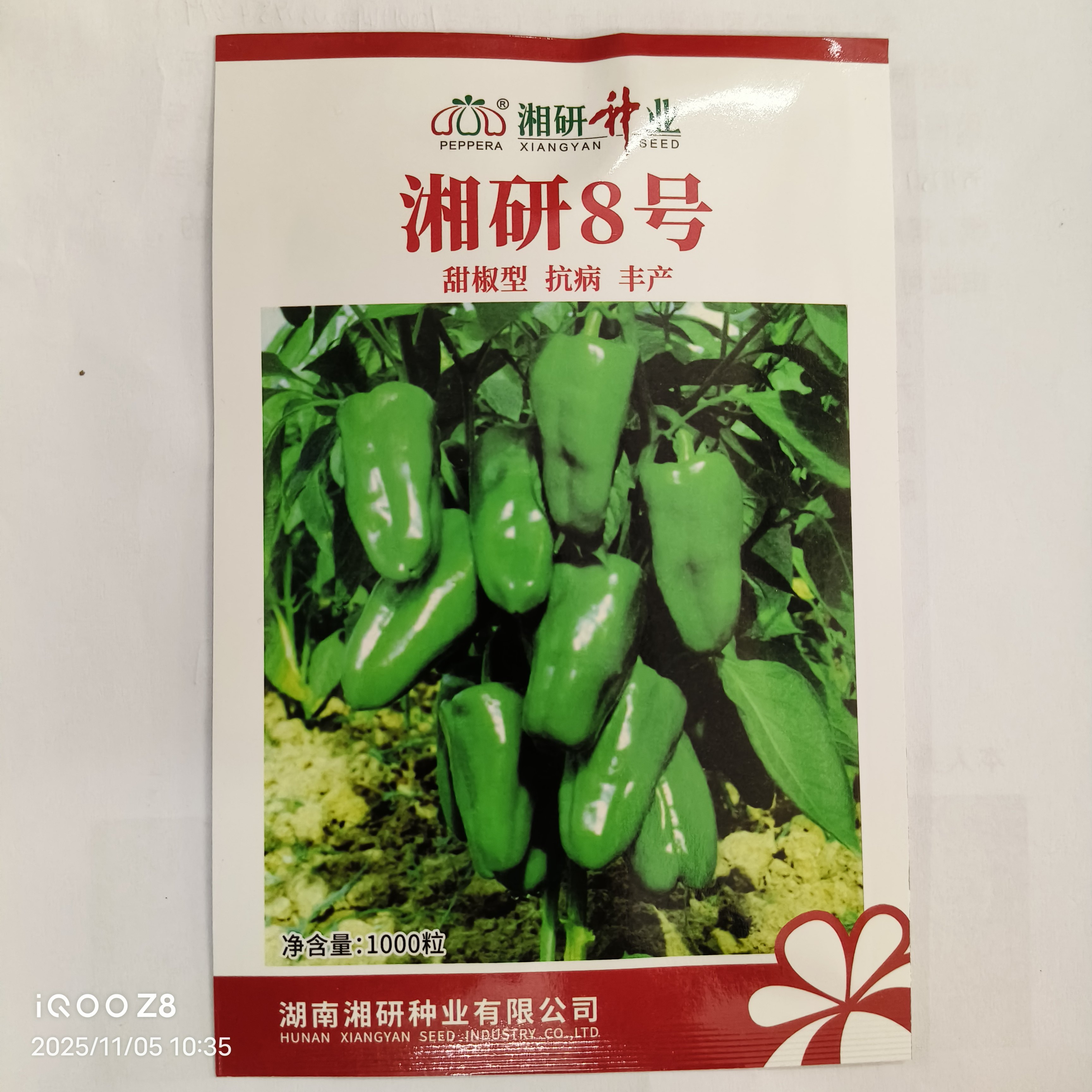 湖南湘研八号辣椒种子湘研8号甜椒种子圆椒菜椒种