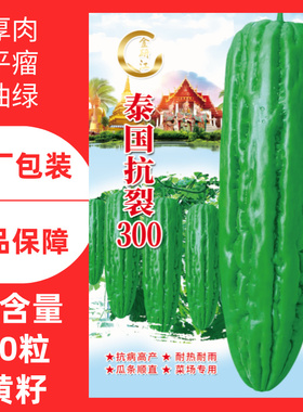 泰国抗裂300油绿黄籽苦瓜种子特耐裂耐雨水瓜肉厚油亮绿色凉瓜种