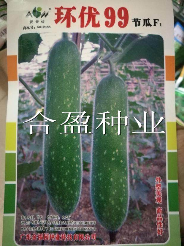 杂交连环节瓜环优99长节瓜种子青肉节瓜小冬瓜种子长毛节瓜种子