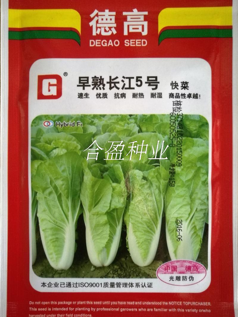 德高快菜种子10g早熟长江5号快菜种子德高长江五号快菜种子