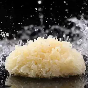Barba Farm Tremella Dry Goods Белый гриб 100 г.