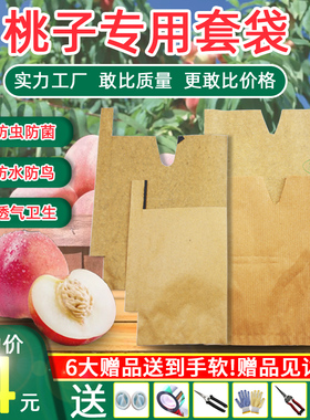 桃子专用套袋水蜜桃冬桃蟠桃黄桃专用纸袋防鸟虫桃子专用果树套袋